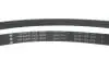 Комплект ременя генератора Citroen Berlingo/Peugeot Partner 1.6 BlueHDi 08- (6PK1005) INA 529 0581 10 (фото 10)