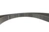 Комплект ременя генератора Ford Fiesta/Focus 1.0 EcoBoost 19- (6PK1179) INA 529056910 (фото 6)