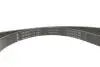 Комплект ременя генератора Ford Fiesta/Focus 1.0 EcoBoost 19- (6PK1179) INA 529056910 (фото 6)