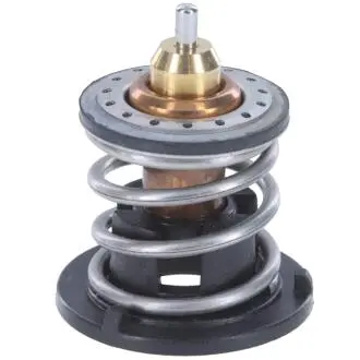 Термостат VW Polo VI/Seat Ibiza V 1.0 17- (92°C) MOTORAD 136092 (фото 1)