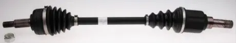 POLOS LE GKN (Lobro) 306733