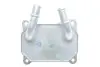 Радіатор масляний Ford C-Max/Focus/Galaxy/Mondeo 1.8D LPG 04-15 (теплообмінник) GAZO GZ-F1857 (фото 1)