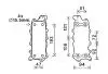AVA DB Масляний радіатор C-class W203/204,E-class W211/212, W164/166, W221/222, Sprinter, Vito, Chrysler 300C AVA COOLING MS3685 (фото 1)