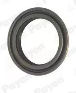 Фото сальник Payen NJ966 Сальник Payen NJ966