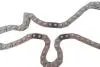 Комплект ланцюга ГРМ Ford Transit 2.4DI/2.2-2.4TDCI 06- (ланцюг, натяжник, шестерня) INA 559 1806 41 (фото 12)