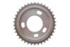 Комплект ланцюга ГРМ Ford Transit 2.4DI/2.2-2.4TDCI 06- (ланцюг, натяжник, шестерня) INA 559 1806 41 (фото 28)