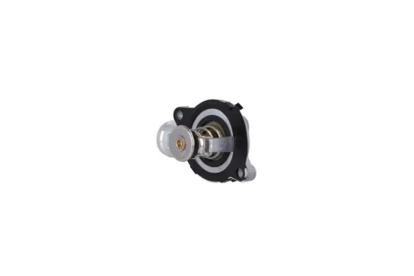 TERMOSTAT (KPL Z OBUDOWA) KAMOKA 7710177
