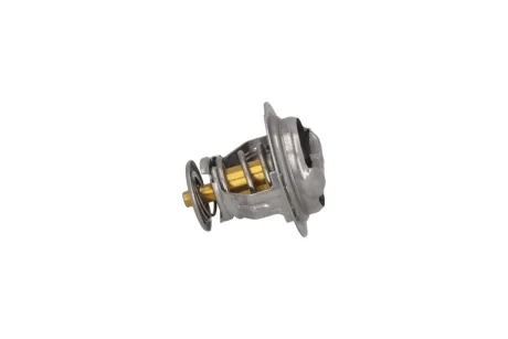 TERMOSTAT (WKLAD) KAMOKA 7710228