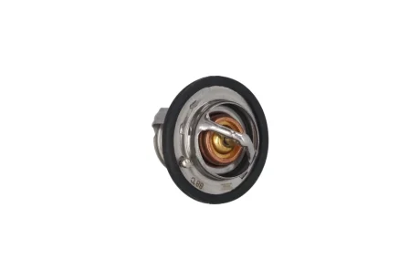 TERMOSTAT (WKLAD) KAMOKA 7710219