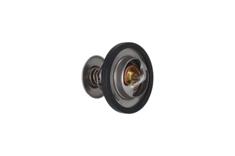TERMOSTAT (WKLAD) KAMOKA 7710069