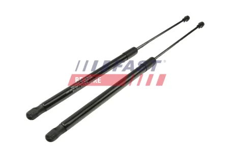 Амортизатор багажника Hyundai Tucson 2.0 Crdi 04-10 FAST FT00187