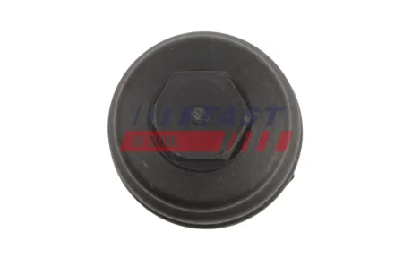 КРЫШКА КЛАПАНОВ SKODA FABIA II 06> FAST FT00578