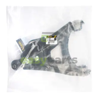 Важіль підвіски передній пр. (нижн.перед) Nissan Kubistar/Renault Clio/Kangoo/Thalia 97- RAISO RL-450000N