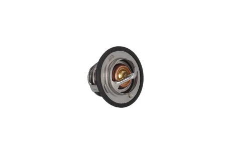TERMOSTAT (WKLAD) KAMOKA 7710156
