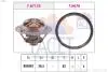Термостат Renault Megane III (09-), Fluence (10-), Koleos (13-) 2.0 16V, 2.0 TCE FACET 78713 (фото 1)