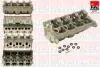 Cylinder Head FAI BCH028 (фото 1)