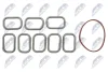 INTAKE MANIFOLD GASKET SET NTY BKS-FR-004A (фото 1)