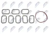 INTAKE MANIFOLD GASKET SET NTY BKS-FR-008A (фото 1)