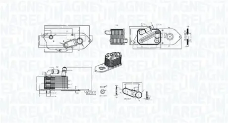 CH┼üODNICA OLEJU FORD TRANSIT V363 2.0 Ec oBlue MAGNETI MARELLI 350300006800