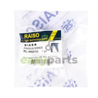 Сайлентблок переднього важеля (верх.перед/задн) Audi A7/A8 D5/Q7/VW Touareg 15- RAISO RL-4M0515A