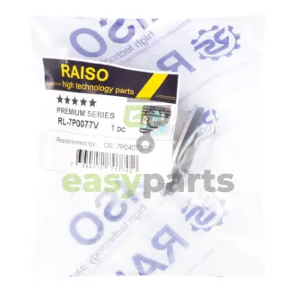 Сайлентблок переднього важеля (перед) VW Touareg/Porsche Cayenne 10- RAISO RL-7P0077V