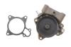 Помпа води Citroen Jumper/Peugeot Boxer 3.0HDi/Fiat Ducato 2.3D/3.0D/Iveco 06- (R/B) (незначна корозія) BUGATTI DSC_PA10125 (фото 1)