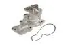 Pompa wody FORD SKF VKPC84224 (фото 1)