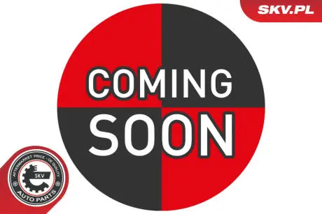 Pompa oleju AUDI A1 A3 SEAT Altea Ibiza IV Leon Toledo IV SKODA Fabia II SKV GERMANY 77SKV057