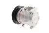 Компресор кондиціонера AKS DASIS 850439N (фото 1)