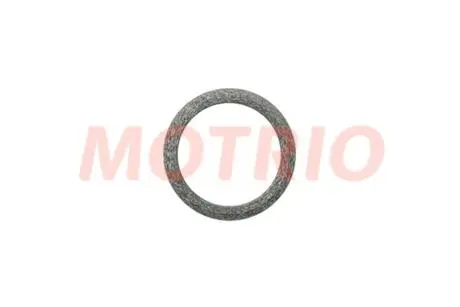 Фото прокладка приемной трубы глушителя Renault Logan, Megane II, Laguna II, Duster, Motrio 8660000309 Прокладка приемной трубы глушителя Renault Logan, Megane II, Laguna II, Duster, Motrio 8660000309