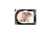 Alternator LAND ROVER HELLA 8EL015637341 (фото 5)