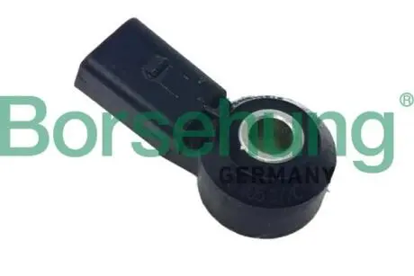 Фото выключатель, головной свет BORSEHUNG B12425 Выключатель, головной свет BORSEHUNG B12425