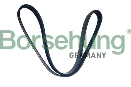 Автозапчасть BORSEHUNG B12505