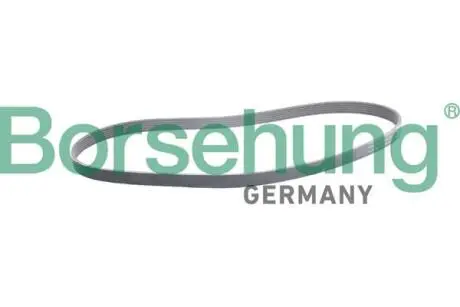 Автозапчасть BORSEHUNG B12387