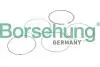 Автозапчасть BORSEHUNG B10373 (фото 1)