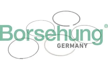 Автозапчасть BORSEHUNG B10373