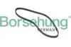 Автозапчасть BORSEHUNG B12381 (фото 1)