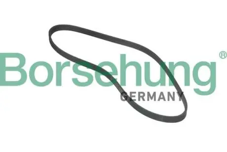 Автозапчасть BORSEHUNG B12381