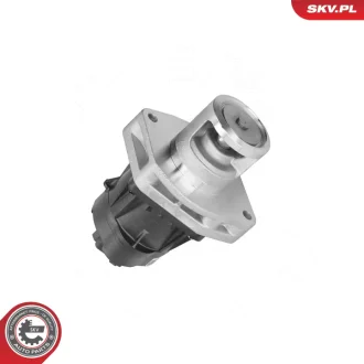 ZAWOR EGR SKV GERMANY 14SKV302