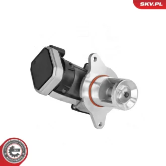 ZAWOR EGR SKV GERMANY 14SKV307