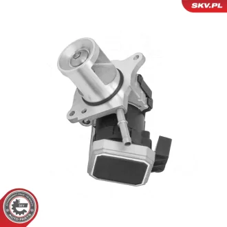 ZAWOR EGR SKV GERMANY 14SKV310