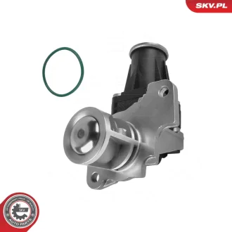 ZAWOR EGR SKV GERMANY 14SKV318