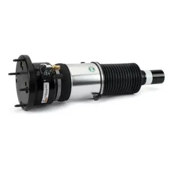AMORTYZATOR PNEUMATYCZNY AUDI ARNOTT ASE3820