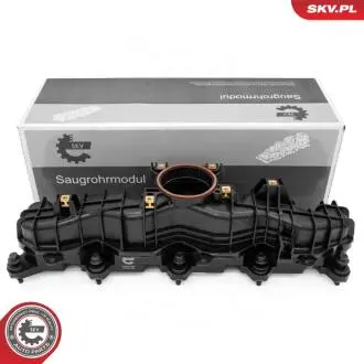 KOLEKTOR SSACY SKV GERMANY 49SKV089