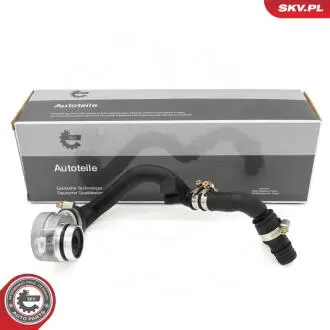 ZAWOR ODMY SKV GERMANY 31SKV431