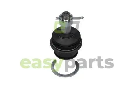 TOYOTA кульова опора нижн.лів./прав.Fortuner 04-,Hilux III 06- KAVO PARTS SBJ-9054 (фото 1)