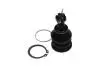 TOYOTA кульова опора Yaris 1.0 05-11, 1.8 07-11 KAVO PARTS SBJ-9034 (фото 2)
