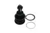 TOYOTA кульова опора Yaris 1.0 05-11, 1.8 07-11 KAVO PARTS SBJ-9034 (фото 4)