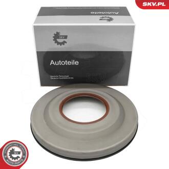 USZCZELNIACZ WALU KORBOWEGO SKV GERMANY 96SKV968