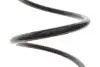 Пружина (задня) Renault Laguna III 1.5dCi/2.0dCi/1.6 16V/2.0 16V 07-15 Solgy 212143 (фото 3)